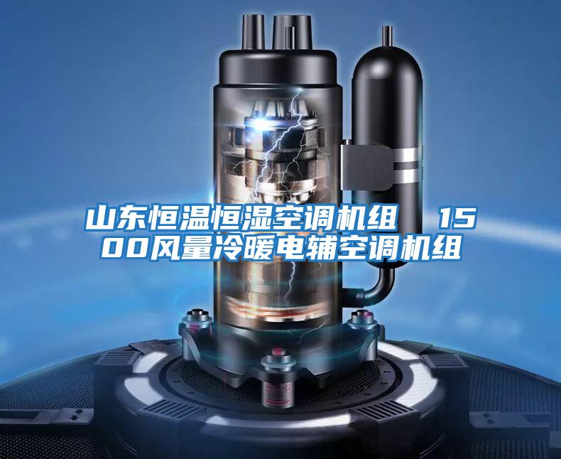 山東恒溫恒濕空調機組  1500風量冷暖電輔空調機組