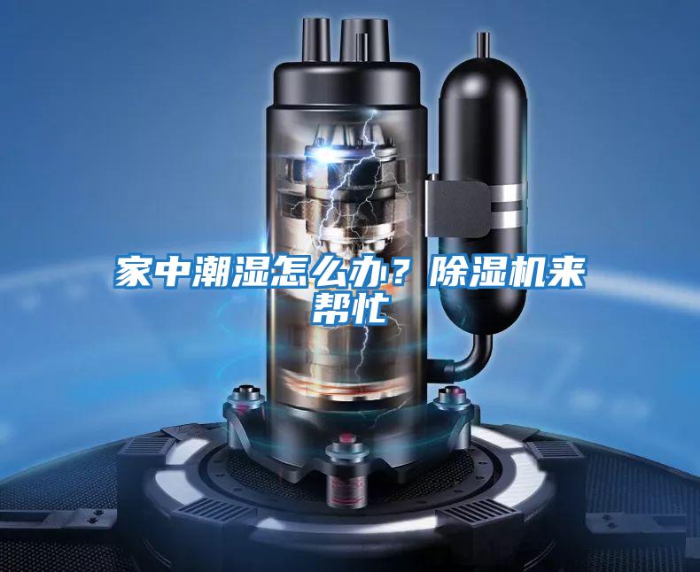 家中潮濕怎么辦？除濕機來幫忙
