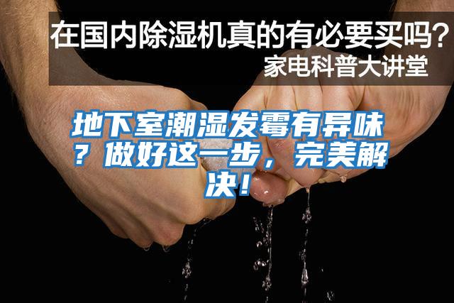地下室潮濕發霉有異味？做好這一步，完美解決！