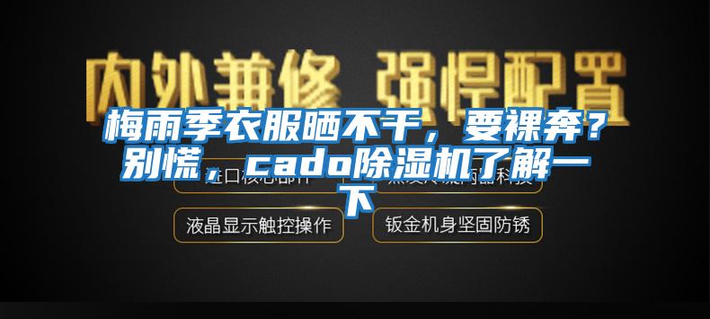 梅雨季衣服曬不干，要裸奔？別慌，cado除濕機了解一下