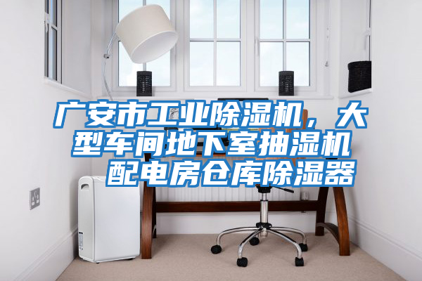 廣安市工業(yè)除濕機(jī),大型車間地下室抽濕機(jī) 配電房倉(cāng)庫(kù)除濕器