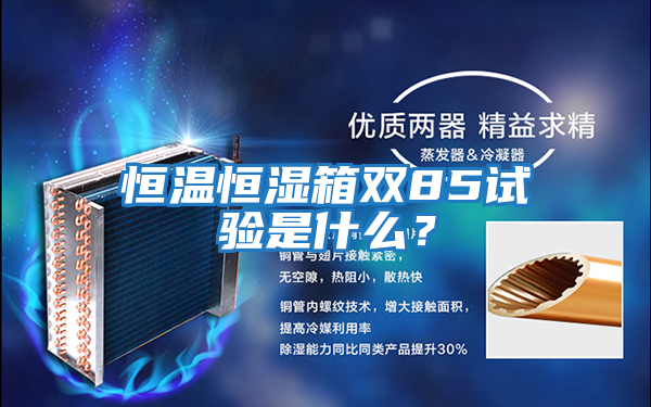 恒溫恒濕箱雙85試驗(yàn)是什么？