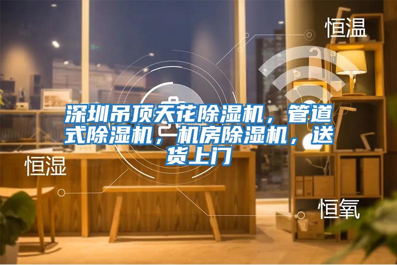 深圳吊頂天花除濕機(jī)，管道式除濕機(jī)，機(jī)房除濕機(jī)，送貨上門(mén)