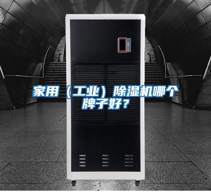 家用(工業(yè))除濕機(jī)哪個(gè)牌子好?