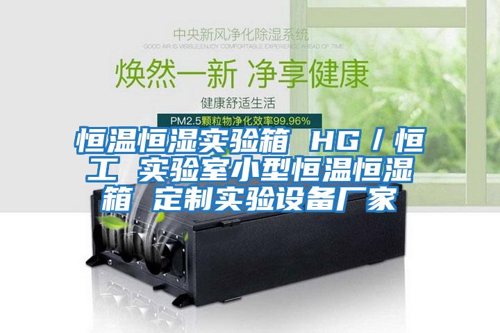 恒溫恒濕實驗箱 HG／恒工 實驗室小型恒溫恒濕箱 定制實驗設備廠家