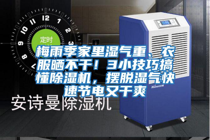 梅雨季家里濕氣重、衣服曬不干！3小技巧搞懂除濕機，擺脫濕氣快速節電又干爽