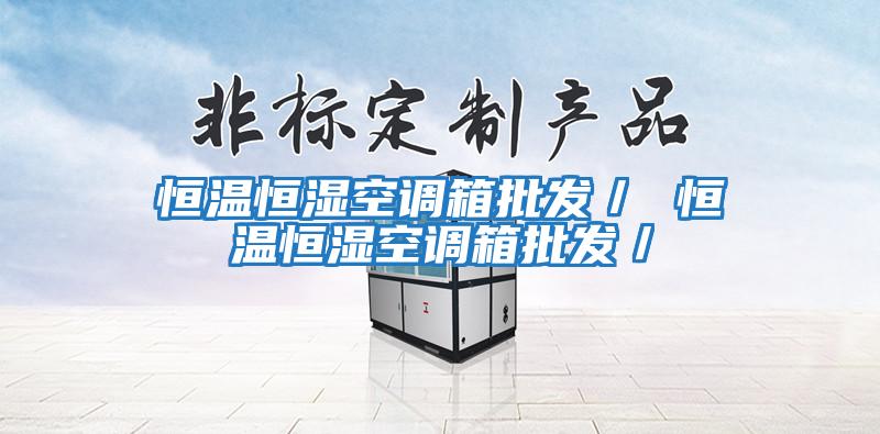 恒溫恒濕空調(diào)箱批發(fā)/ 恒溫恒濕空調(diào)箱批發(fā)/