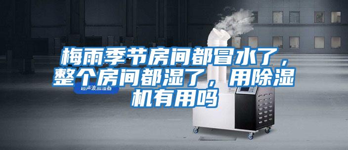 梅雨季節(jié)房間都冒水了，整個(gè)房間都濕了，用除濕機(jī)有用嗎