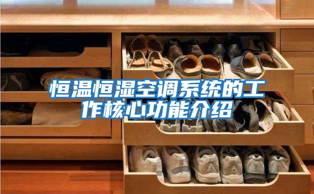 恒溫恒濕空調系統的工作核心功能介紹