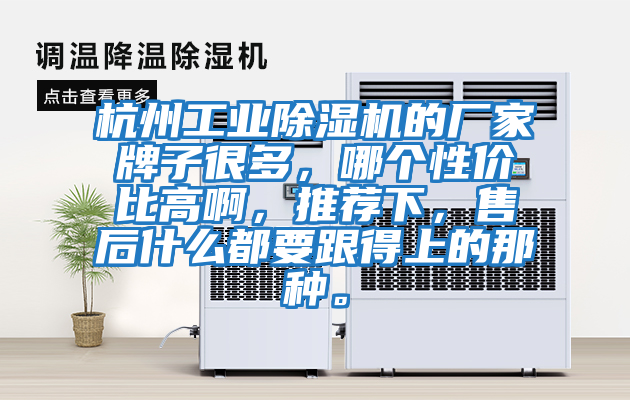 杭州工業除濕機的廠家牌子很多，哪個性價比高啊，推薦下，售后什么都要跟得上的那種。