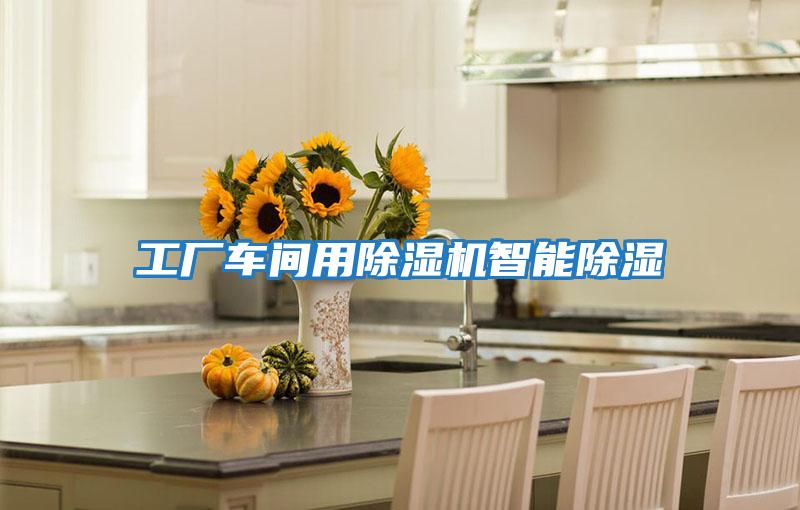 工廠(chǎng)車(chē)間用除濕機(jī)智能除濕