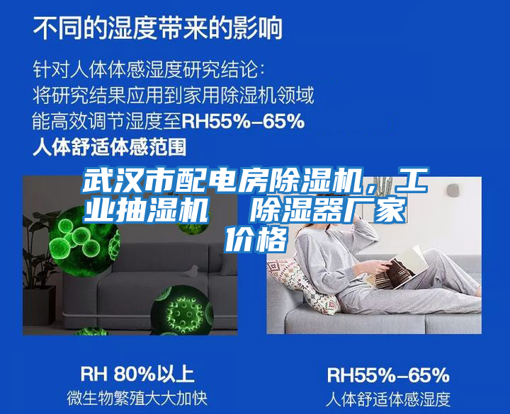 武漢市配電房除濕機，工業抽濕機  除濕器廠家 價格
