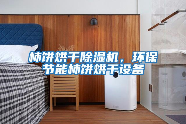 柿餅烘干除濕機(jī),環(huán)保節(jié)能柿餅烘干設(shè)備