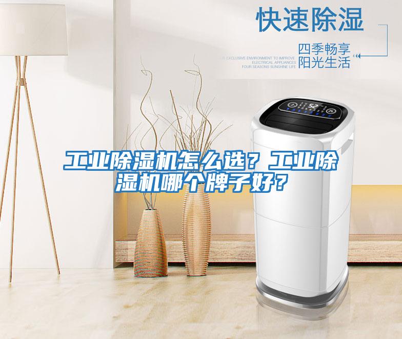 工業(yè)除濕機(jī)怎么選？工業(yè)除濕機(jī)哪個(gè)牌子好？