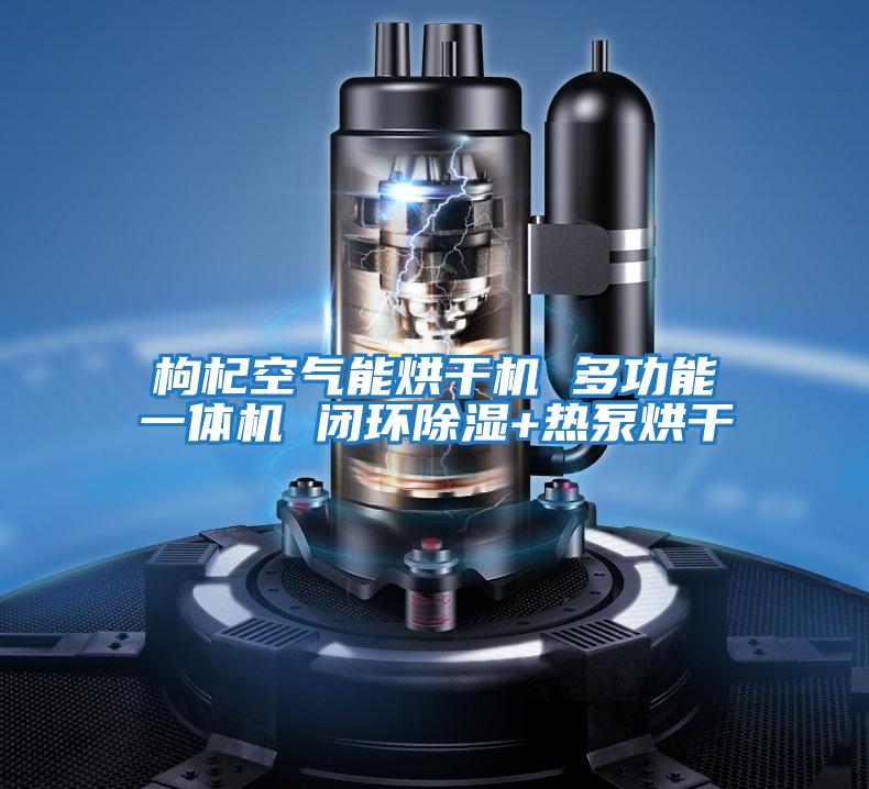 枸杞空氣能烘干機 多功能一體機 閉環除濕+熱泵烘干