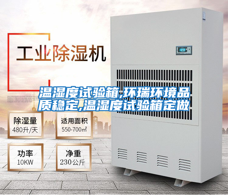 溫濕度試驗箱,環(huán)瑞環(huán)境品質穩(wěn)定,溫濕度試驗箱定做