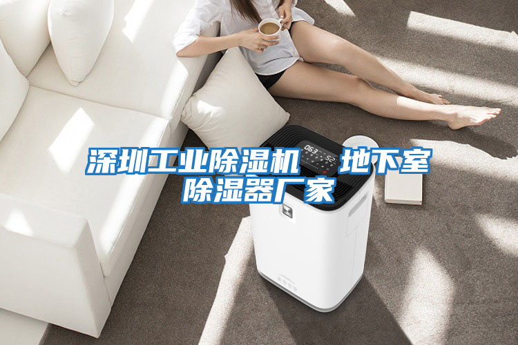 深圳工業(yè)除濕機 地下室除濕器廠家
