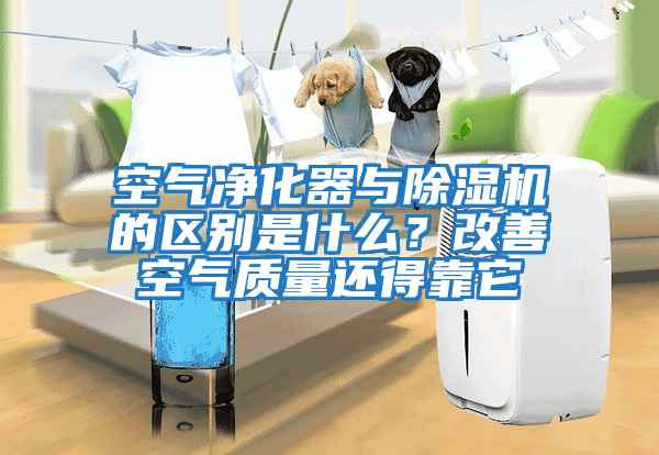 空氣凈化器與除濕機的區別是什么？改善空氣質量還得靠它