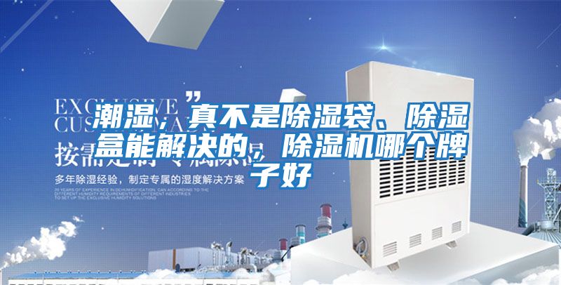 潮濕，真不是除濕袋、除濕盒能解決的，除濕機哪個牌子好