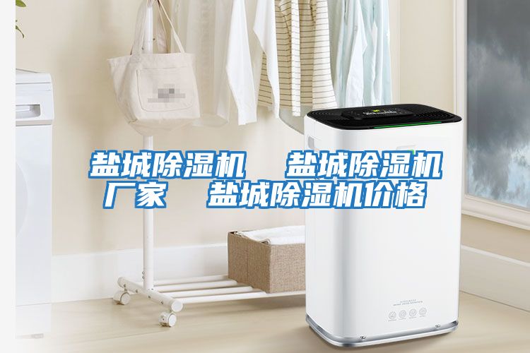 鹽城除濕機(jī) 鹽城除濕機(jī)廠家 鹽城除濕機(jī)價(jià)格