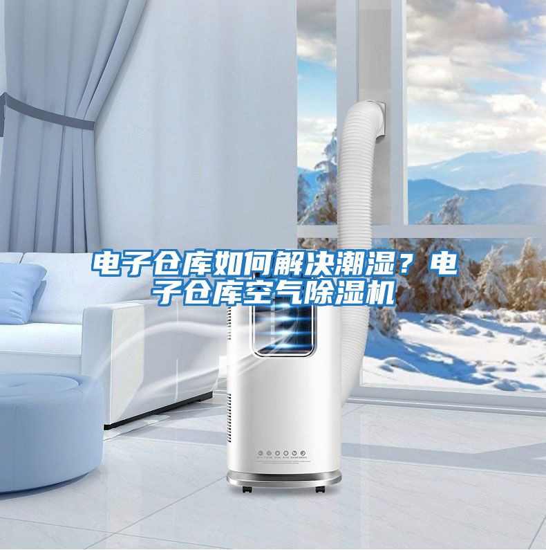電子倉庫如何解決潮濕？電子倉庫空氣除濕機