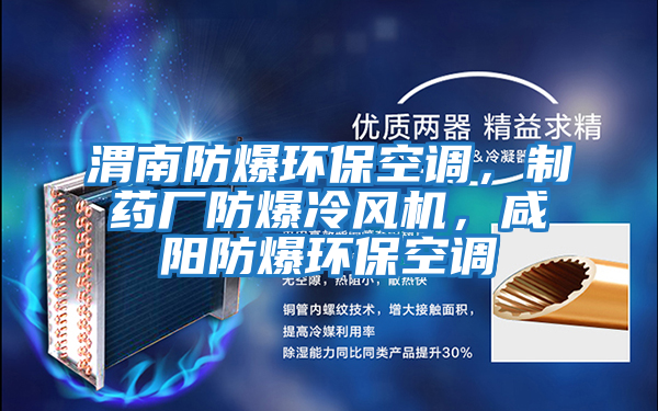 渭南防爆環(huán)保空調,制藥廠防爆冷風機,咸陽防爆環(huán)保空調