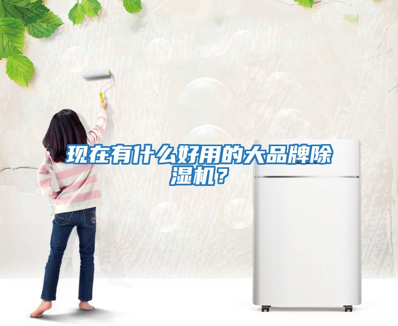 現(xiàn)在有什么好用的大品牌除濕機(jī)？