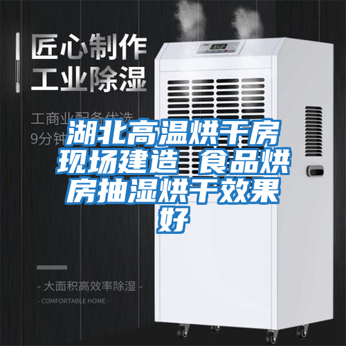 湖北高溫烘干房現場建造 食品烘房抽濕烘干效果好