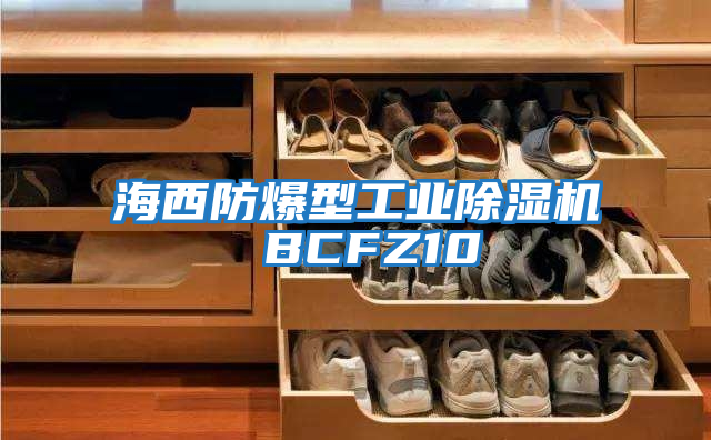 海西防爆型工業除濕機 BCFZ10