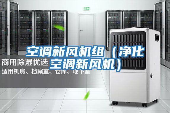 空調(diào)新風(fēng)機(jī)組(凈化空調(diào)新風(fēng)機(jī))