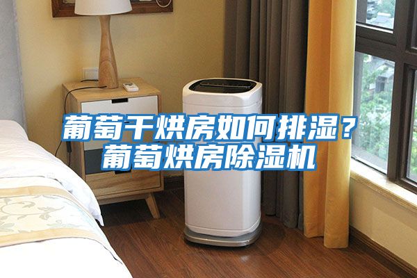 葡萄干烘房如何排濕？葡萄烘房除濕機