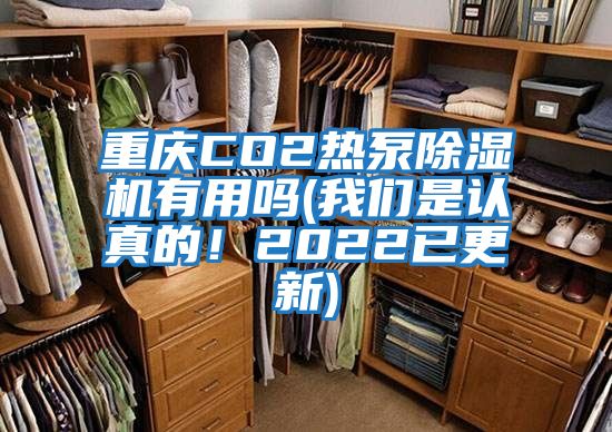 重慶CO2熱泵除濕機有用嗎(我們是認真的！2022已更新)