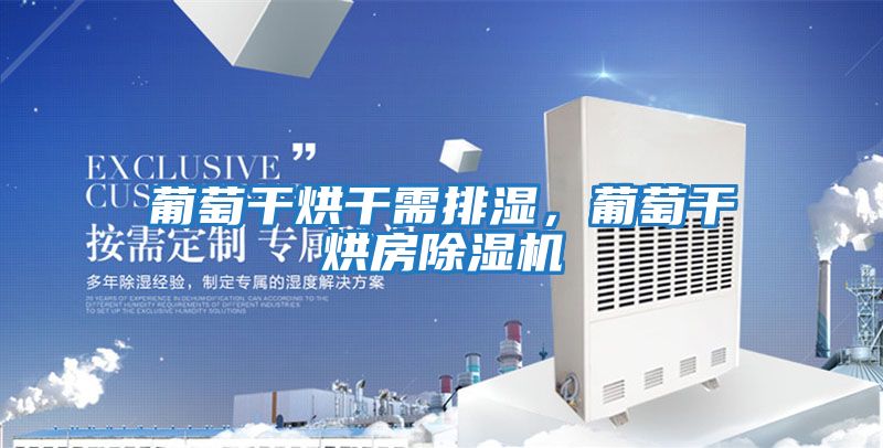 葡萄干烘干需排濕，葡萄干烘房除濕機