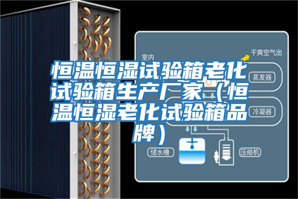 恒溫恒濕試驗(yàn)箱老化試驗(yàn)箱生產(chǎn)廠家(恒溫恒濕老化試驗(yàn)箱品牌)