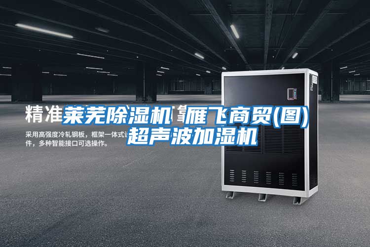 萊蕪除濕機 雁飛商貿(圖) 超聲波加濕機