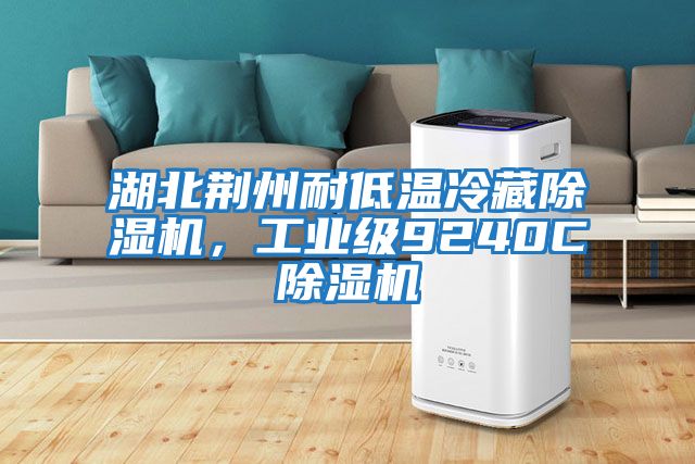 湖北荊州耐低溫冷藏除濕機(jī)，工業(yè)級9240C除濕機(jī)