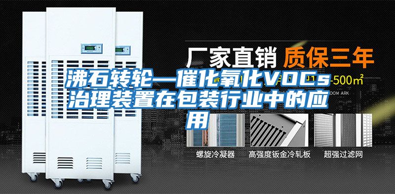 沸石轉輪—催化氧化VOCs治理裝置在包裝行業中的應用