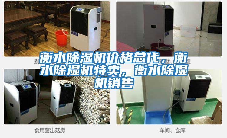 衡水除濕機價格總代，衡水除濕機特賣，衡水除濕機銷售