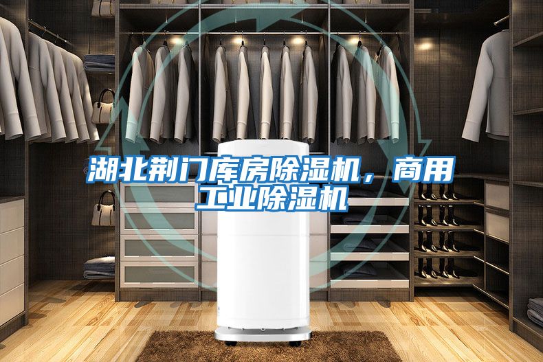 湖北荊門庫房除濕機(jī)，商用工業(yè)除濕機(jī)