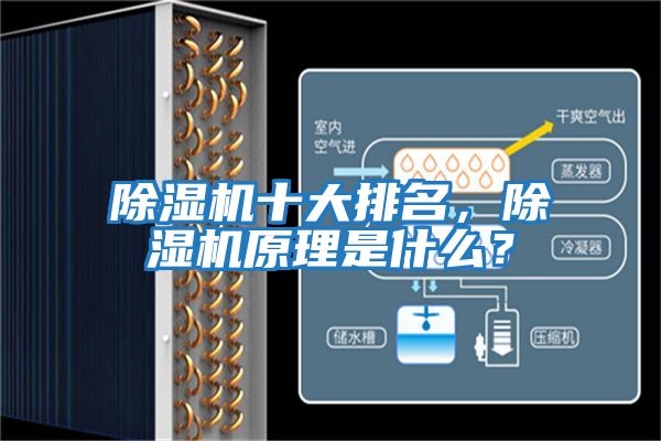 除濕機十大排名，除濕機原理是什么？