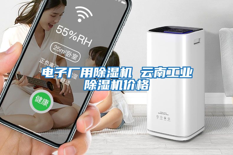 電子廠用除濕機 云南工業除濕機價格