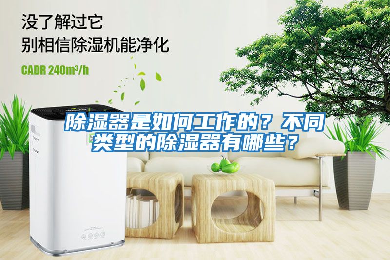 除濕器是如何工作的？不同類型的除濕器有哪些？