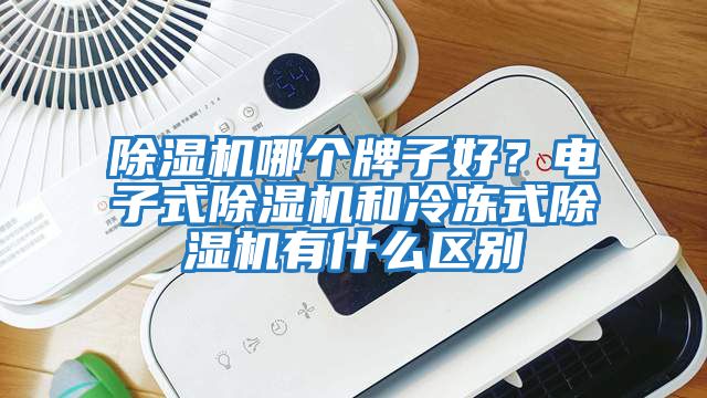 除濕機哪個牌子好？電子式除濕機和冷凍式除濕機有什么區別