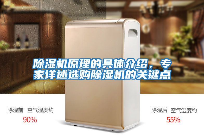 除濕機原理的具體介紹，專家詳述選購除濕機的關鍵點