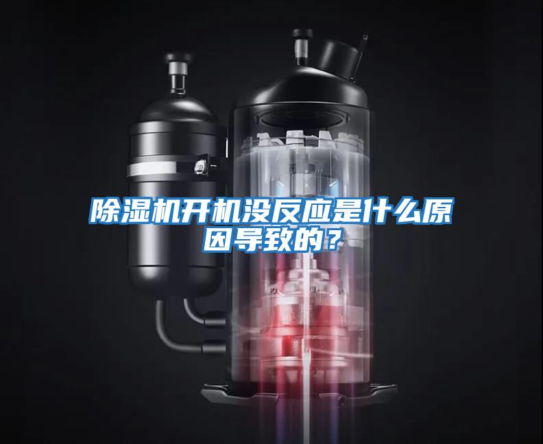 除濕機開機沒反應是什么原因導致的？