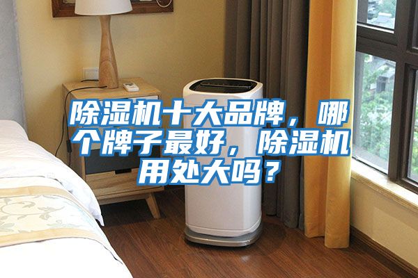 除濕機(jī)十大品牌，哪個(gè)牌子最好，除濕機(jī)用處大嗎？