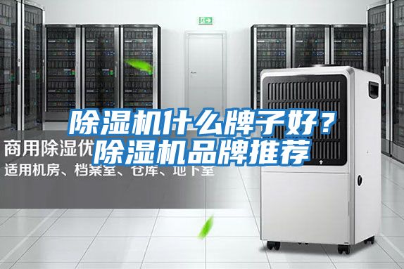 除濕機什么牌子好？除濕機品牌推薦