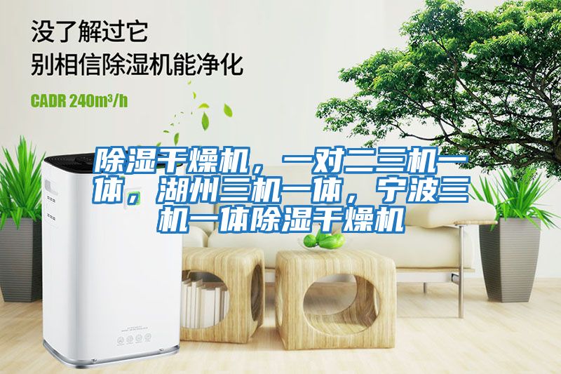 除濕干燥機(jī)，一對(duì)二三機(jī)一體，湖州三機(jī)一體，寧波三機(jī)一體除濕干燥機(jī)