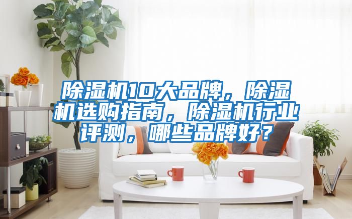 除濕機10大品牌，除濕機選購指南，除濕機行業評測，哪些品牌好？