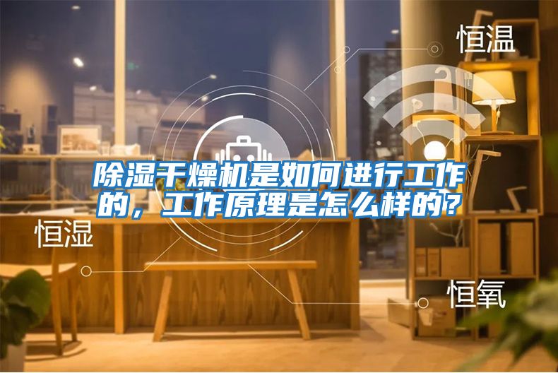 除濕干燥機是如何進行工作的,工作原理是怎么樣的?